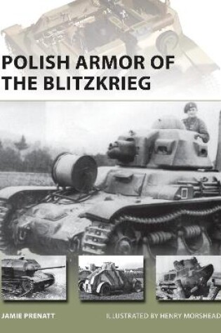 Cover of Polish Armor of the Blitzkrieg