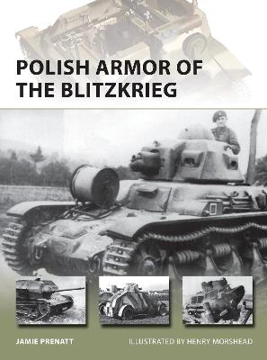 Book cover for Polish Armor of the Blitzkrieg