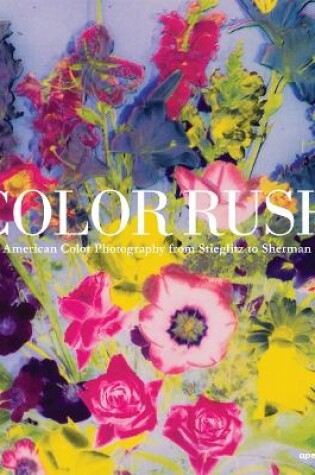 Cover of Color Rush