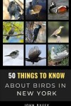 Book cover for 50 Things to Know About Birds in New York