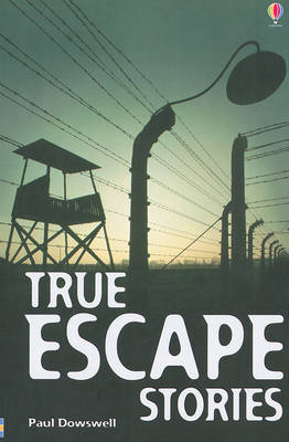 Book cover for True Escape Stories