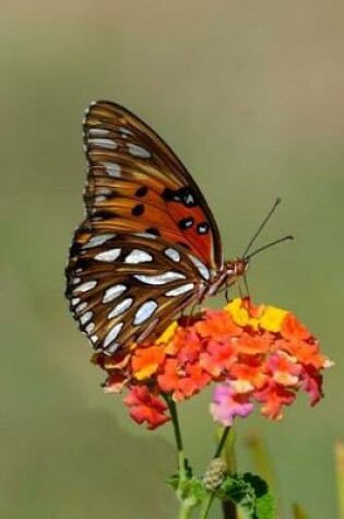 Cover of Gulf Fritillary Butterfly on a Flower Spring and Summer Journal