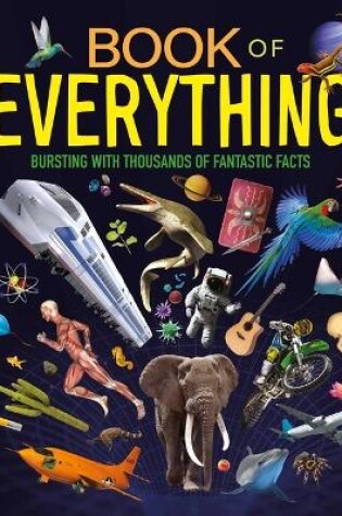 Cover of Book of Everything