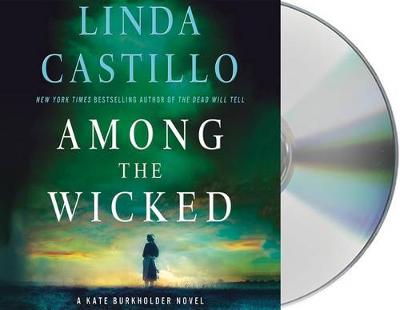 Book cover for Among the Wicked