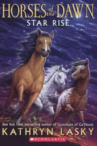 Cover of Star Rise