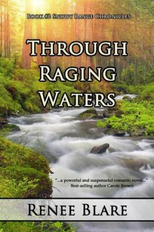 Cover of Through Raging Waters