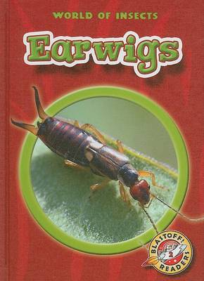 Book cover for Earwigs