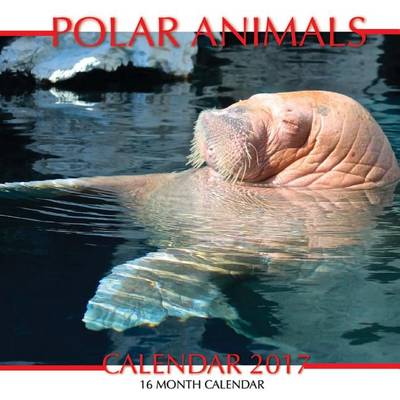 Book cover for Polar Animals Calendar 2017