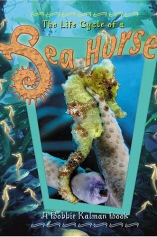 Cover of The Life Cycle of a Sea Horse