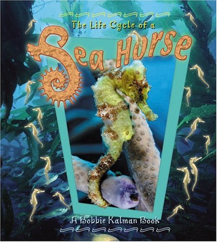 Book cover for The Life Cycle of a Sea Horse