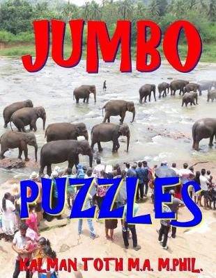 Book cover for Jumbo Puzzles