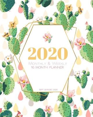 Book cover for 2020 16 Month Monthly & Weekly Planner (Sept 2019 - Dec 2020)