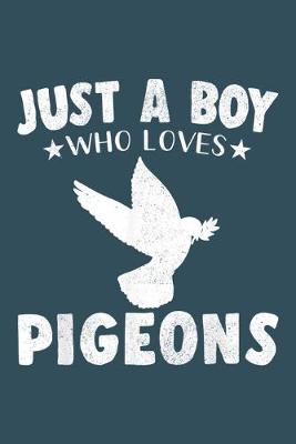 Book cover for Just a boy who loves pigeons