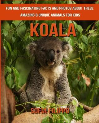 Book cover for Koala