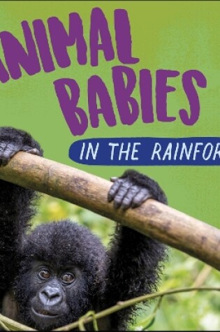 Cover of Animal Babies: In the Rainforest