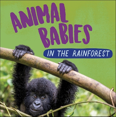 Cover of Animal Babies: In the Rainforest