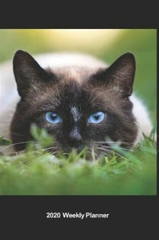 Cover of Plan On It 2020 Weekly Calendar Planner - I Love Cats - Cat On The Prowl - You Will Never See Me Coming - Pounce!