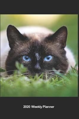 Book cover for Plan On It 2020 Weekly Calendar Planner - I Love Cats - Cat On The Prowl - You Will Never See Me Coming - Pounce!