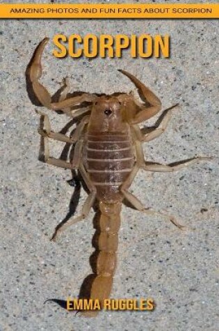 Cover of Scorpion