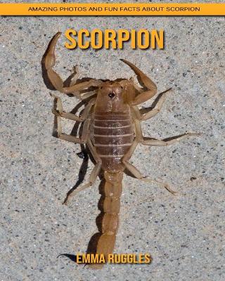 Book cover for Scorpion