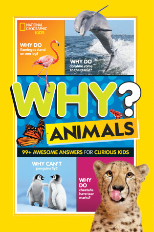 Cover of Why? Animals