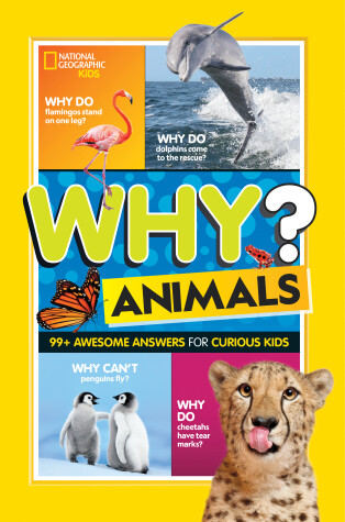 Book cover for Why? Animals