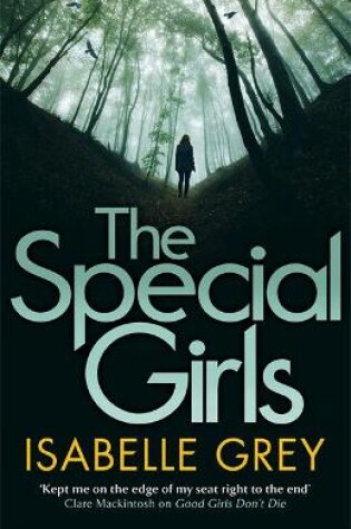 Cover of The Special Girls