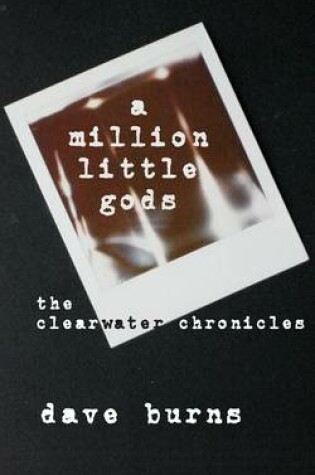 Cover of A million little gods