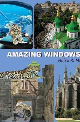 Cover of Amazing Windows