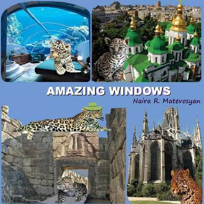 Book cover for Amazing Windows