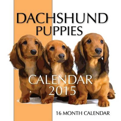 Book cover for Dachshund Puppies Calendar 2015