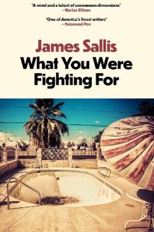 Cover of What You Were Fighting For