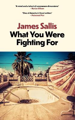 Book cover for What You Were Fighting For