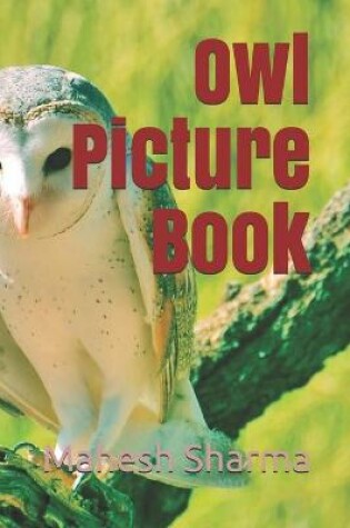 Cover of Owl Picture Book