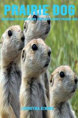 Cover of Prairie Dog