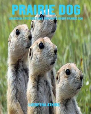 Book cover for Prairie Dog