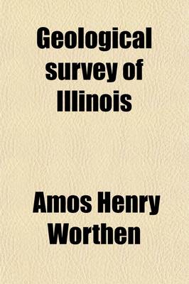 Book cover for Geological Survey of Illinois (Volume 2)