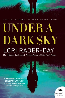 Book cover for Under A Dark Sky