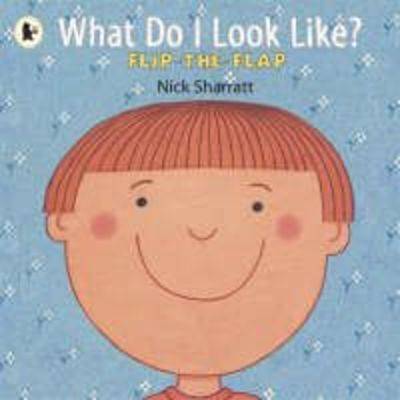 Book cover for What Do I Look Like?