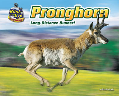 Cover of Pronghorn