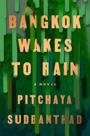 Cover of Bangkok Wakes to Rain