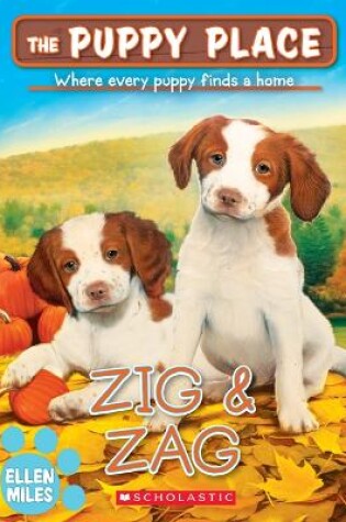 Cover of Zig & Zag