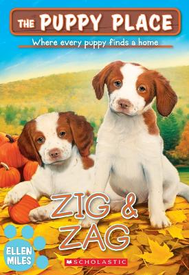 Book cover for Zig & Zag