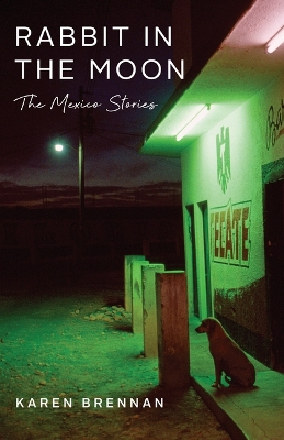 Book cover for Rabbit in the Moon
