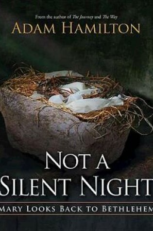 Cover of Not a Silent Night