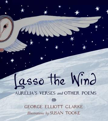 Book cover for Lasso the Wind