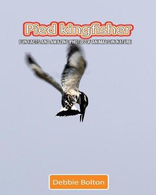 Book cover for Pied Kingfisher