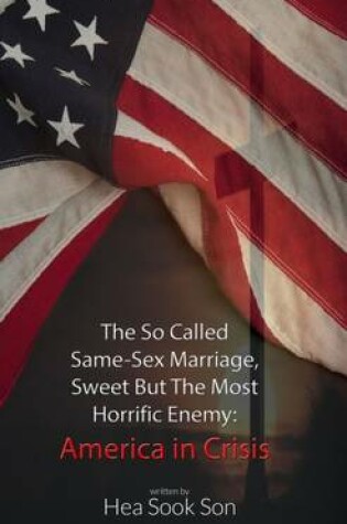 Cover of The So Called Same-Sex Marriage, Sweet but the Most Horrific Enemy: America in Crisis