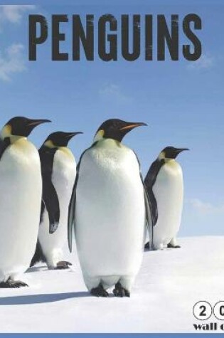 Cover of Penguins 2021 Wall Calendar