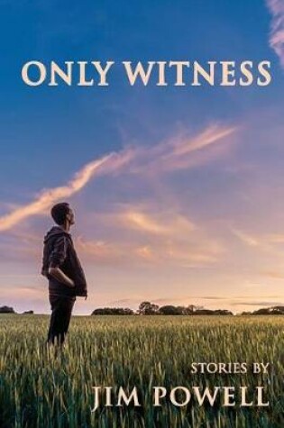 Cover of Only Witness